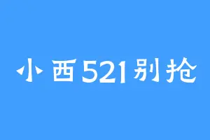 小西521别抢