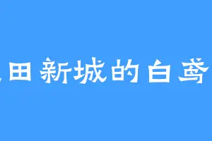 蓝田新城的白鸢儿