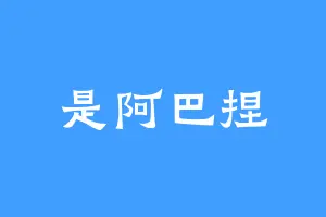 是阿巴捏