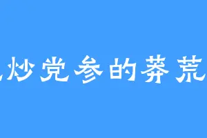 爱吃炒党参的莽荒之石