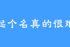 起个名真的很难